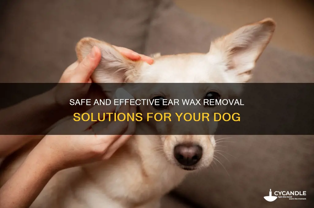 what to use for ear wax removal in dogs