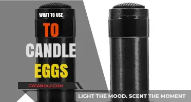 Candling Eggs: Best Tools and Techniques for Accurate Results