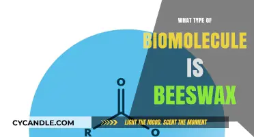 Understanding Beeswax: A Complex Lipid Biomolecule and Its Uses