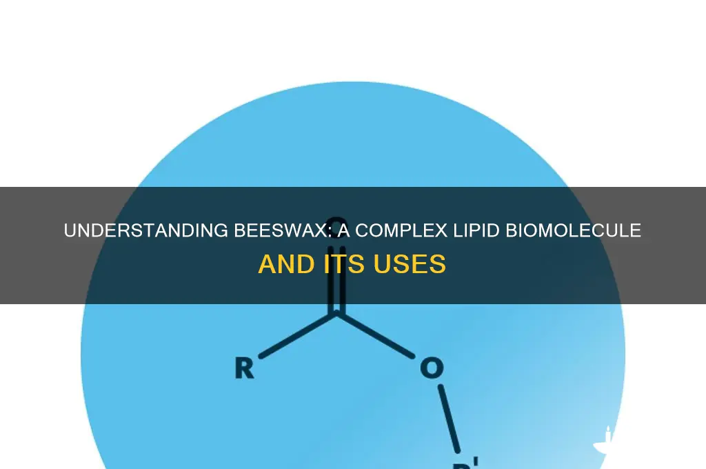 what type of biomolecule is beeswax