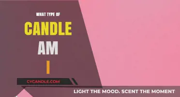 Finding Your Signature Scent: The Candle Quiz