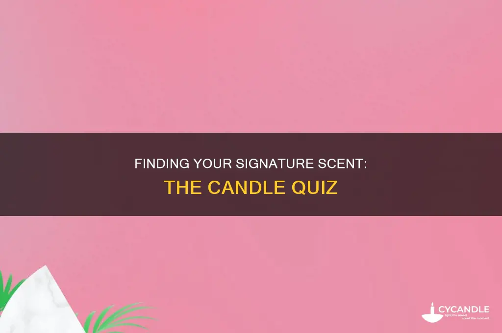 what type of candle am i