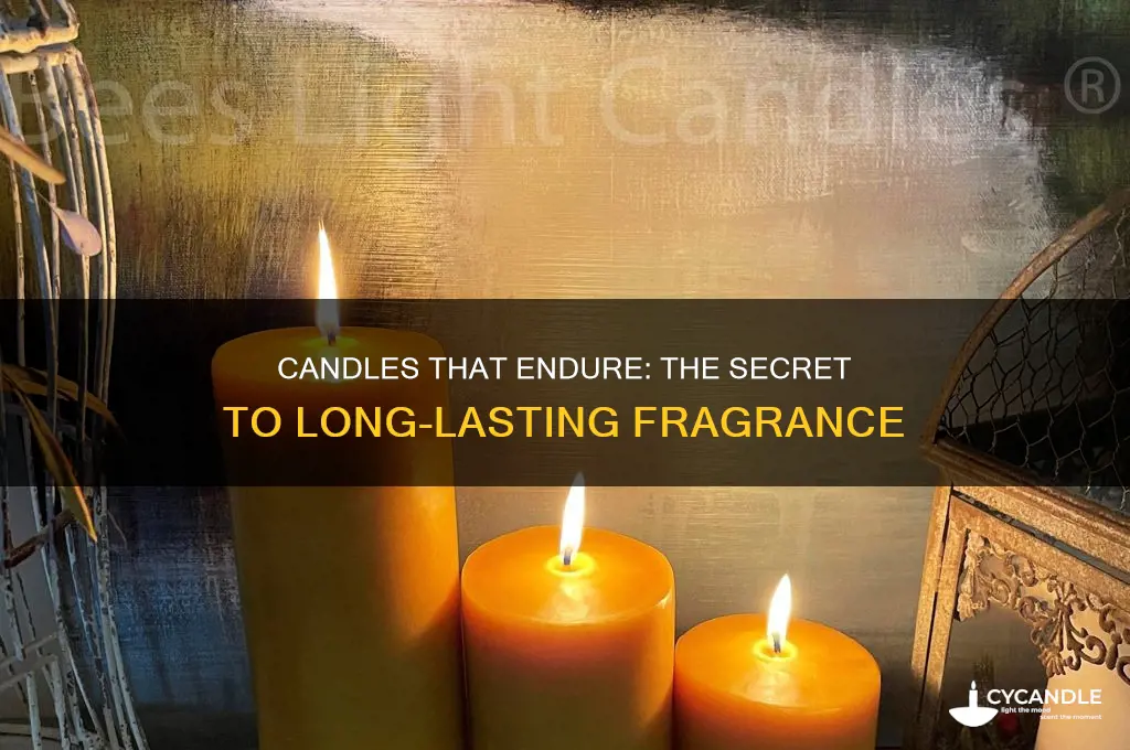 what type of candle lasts the longest