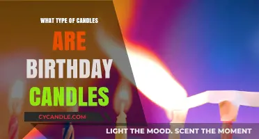 The Science Behind Birthday Candles: What Makes Them Unique?