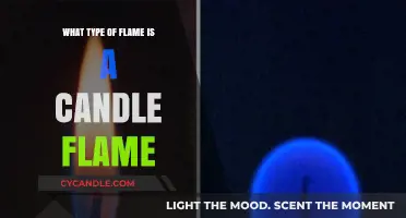 The Intriguing Nature of Candle Flames