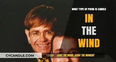 Elton John's "Candle in the Wind": A Poetic Tribute