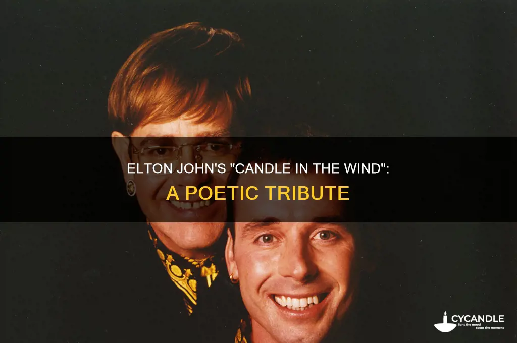 what type of poem is candle in the wind