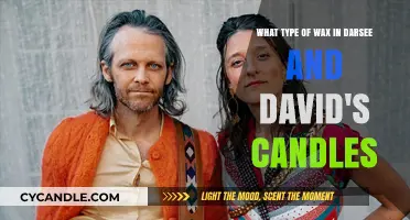 Darsee and David's Candles: Unveiling the Secret Wax Blend