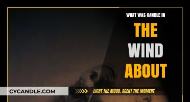 The Meaning Behind Candle in the Wind