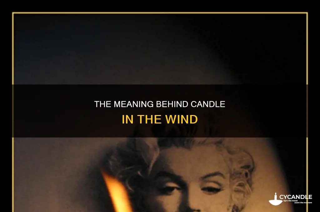 what was candle in the wind about