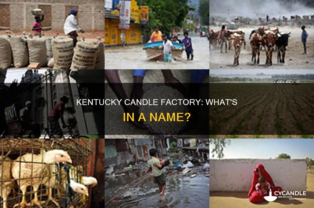 what was name of candle factory in kentucky