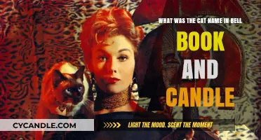 The Famous Feline Pyewacket in Bell, Book and Candle