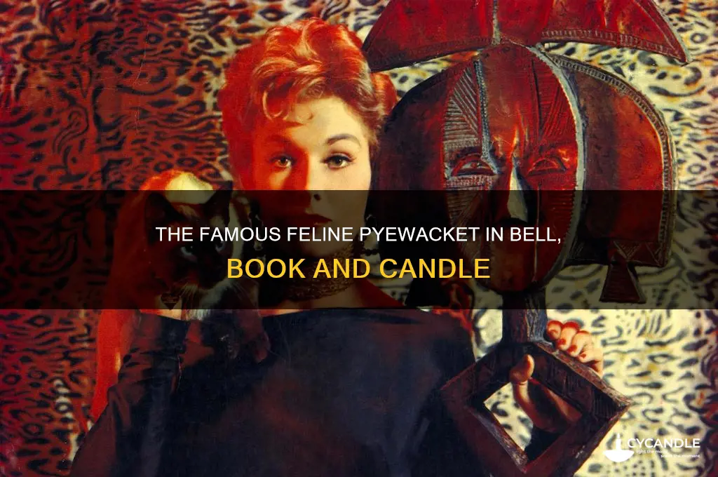 what was the cat name in bell book and candle