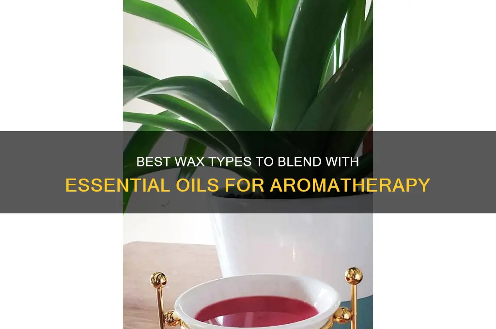 what wax can i add essential oil for