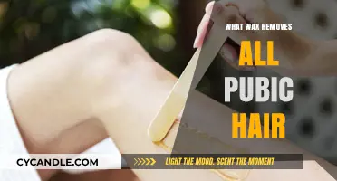 Best Wax for Complete Pubic Hair Removal: Smooth and Effective Solutions