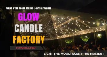 Warm Glow Candle Factory's String Lights: Unveiling the Enchanting Ambiance