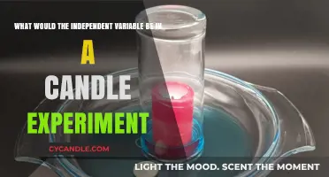 Candle Experiments: Choosing the Right Independent Variable