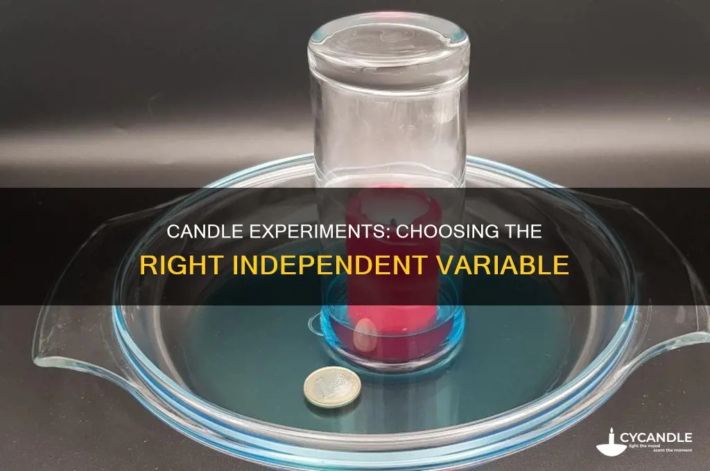 what would the independent variable be in a candle experiment