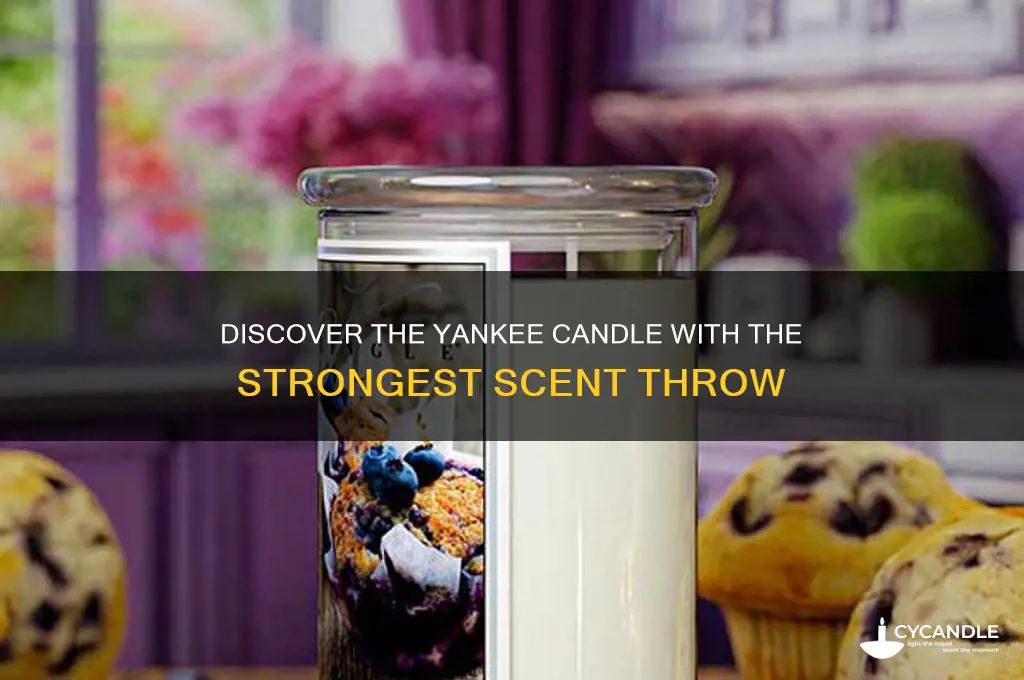 what yankee candle has the best throw