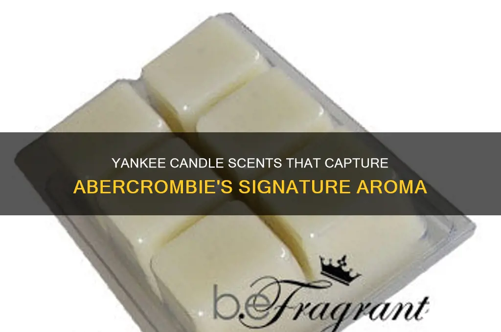 what yankee candle smells like abercrombie