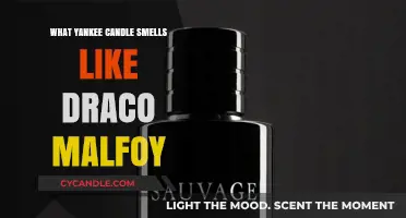 Draco Malfoy's Scent: A Yankee Candle Fan's Magical Guess