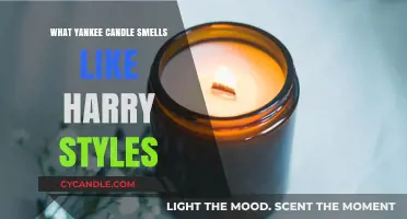 Harry Styles-Inspired Yankee Candle Scents: A Whimsical Fragrance Guide