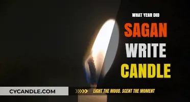 Carl Sagan's Candle: A Cosmic Year