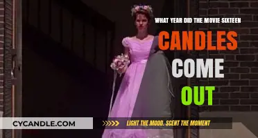The Year of Sixteen Candles' Release