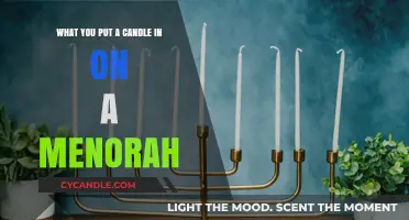 Understanding the Menorah: What Holds the Candles During Hanukkah