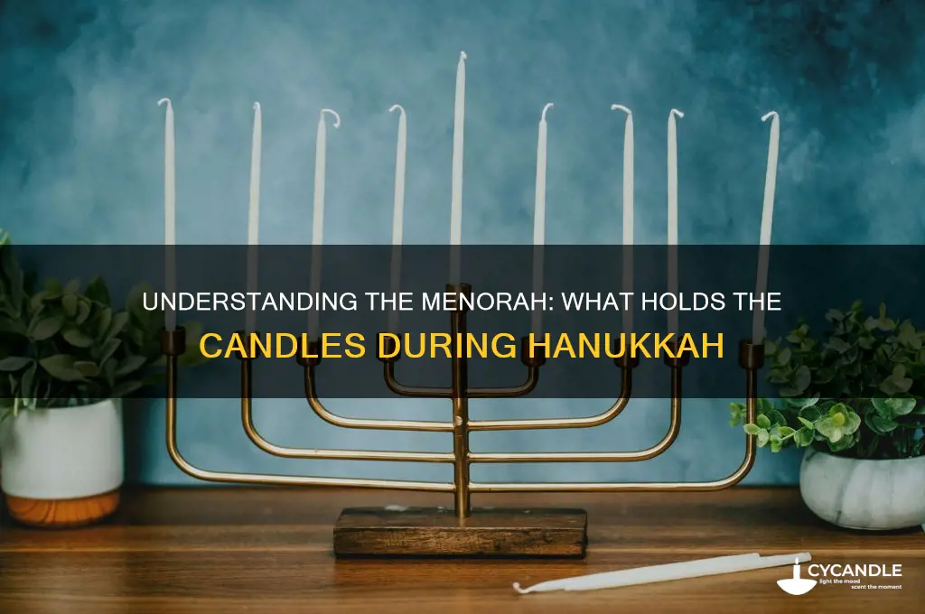 what you put a candle in on a menorah