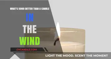 Candles in the Wind: 5000 Ways to Brighten Your Life