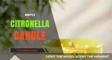 The Power of Citronella Candles: Natural Insect Repellent