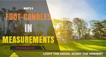 Understanding Foot-Candles: Measurement Basics Explained