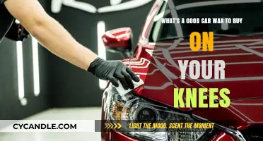 Kneeling Down: The Quest for the Perfect Car Wax