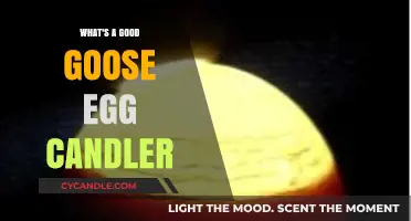 Goose Egg Candling: Choosing the Right Equipment