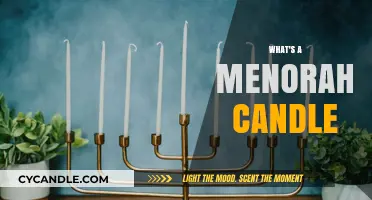 The Menorah Candle: A Festival of Lights Tradition