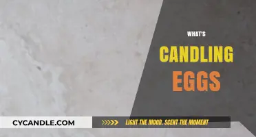 Candling Eggs: Shine a Light on Fertility