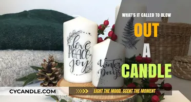 The Art of Candle Blowing: A Unique Tradition Explained