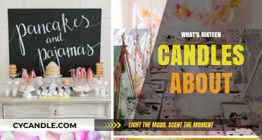 A Sweet 16 Comedy About a Forgotten Birthday