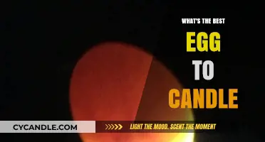 Best Egg Candling: A Guide to Choosing the Right Candle