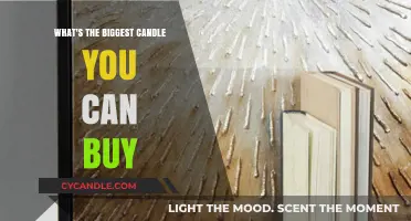 Discover the Largest Candle Available for Purchase Today