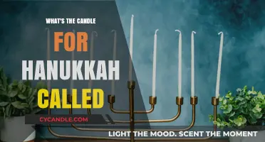 The Hanukkah Candle: What's Its Name?