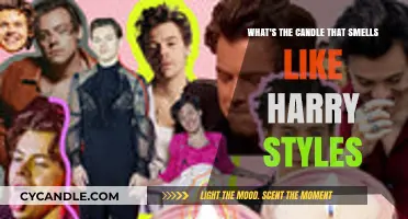 Harry Styles-Inspired Candles: What's the Scent?