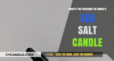 Uncover Linnea's Sea Salt Candle Fragrance Secrets
