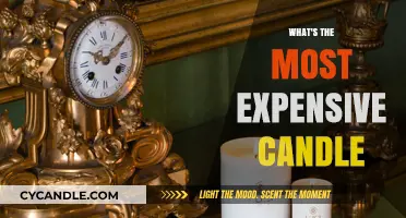 Luxurious Candle Splurges: The Most Expensive Candles You Can Buy