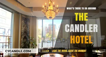 Explore Exciting Attractions Near the Candler Hotel