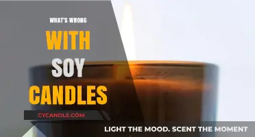 The Dark Side of Soy Candles