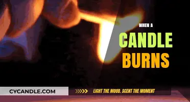 The Science and Serenity Behind When a Candle Burns