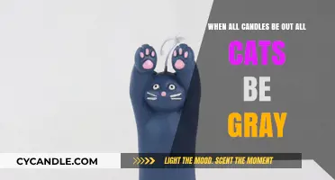 The Mystery of Cats in the Dark