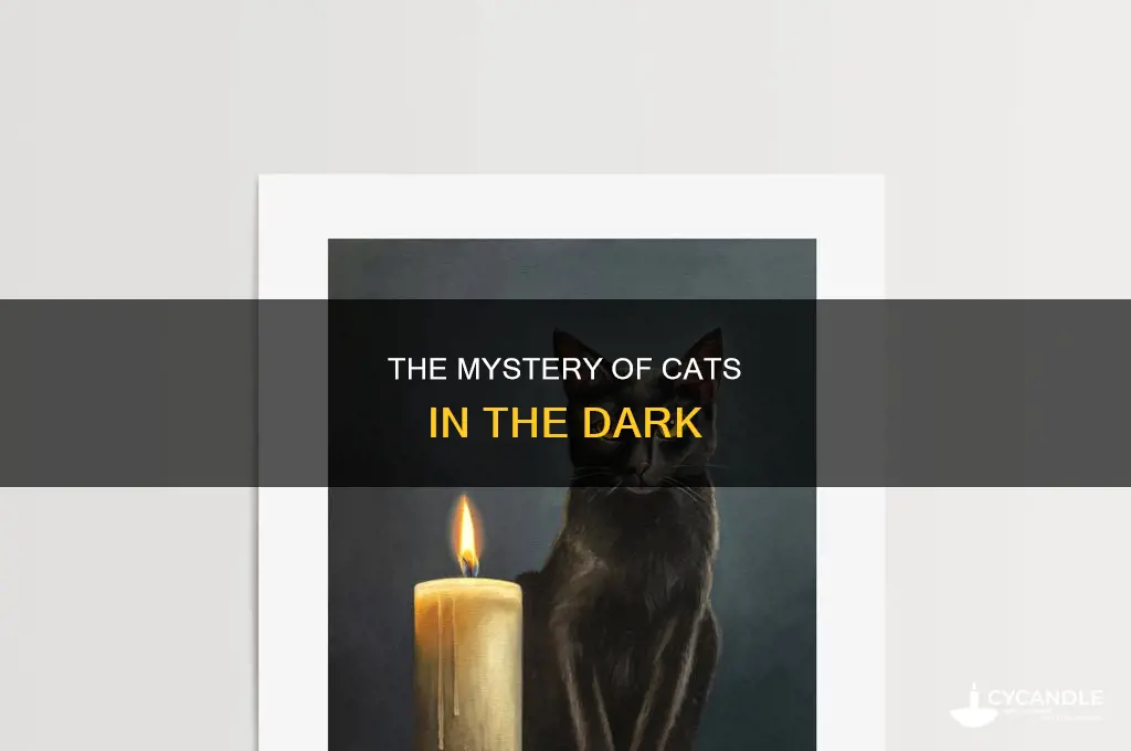 when all candles be out all cats be gray